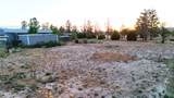 2911 Willow Tree Lane - Photo 41