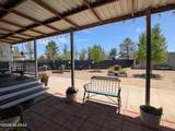 2911 Willow Tree Lane - Photo 47