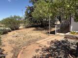 3200 Barrel Cactus Lane - Photo 19