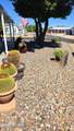 1030 Barrel Cactus Ridge - Photo 4