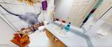 6550 Pelto Path - Photo 3