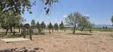 3575 Circle M Ranch Road - Photo 4