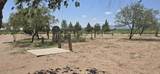 3575 Circle M Ranch Road - Photo 49