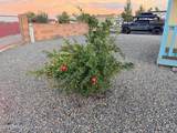 1030 Barrel Cactus Ridge - Photo 17
