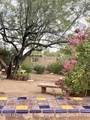 8625 Mulberry Drive - Photo 13
