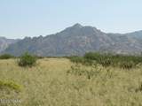 Lot 46 Cochise Trail - Photo 1
