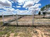 7101 Highway 181 - Photo 12
