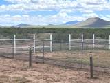 7101 Highway 181 - Photo 13