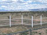 7101 Highway 181 - Photo 14