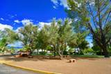 261 Paseo Tierra - Photo 17