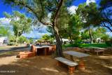 261 Paseo Tierra - Photo 5