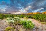 XX Golder Dam Road - Photo 6