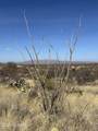  6.6 Acres Off W Linda Vista Road - Photo 1