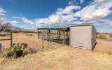 3348 Thunderbird Trail - Photo 42