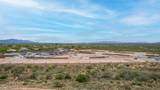 14138 Canidae Drive - Photo 33