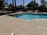 1002 Kolb Rd - Photo 16