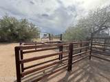 7855 Prorodeo Road - Photo 17