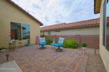 14037 Cariole Street - Photo 10