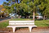 344 Paseo Pena - Photo 21