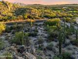 1141 Tortolita Mountain Circle - Photo 10