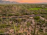 1141 Tortolita Mountain Circle - Photo 12