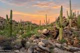 1141 Tortolita Mountain Circle - Photo 14