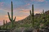 1141 Tortolita Mountain Circle - Photo 16