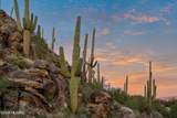 1141 Tortolita Mountain Circle - Photo 17
