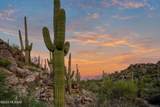 1141 Tortolita Mountain Circle - Photo 19