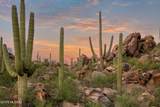 1141 Tortolita Mountain Circle - Photo 20