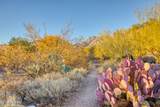 5051 Sabino Canyon Road - Photo 26