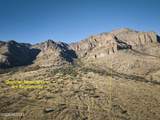 3795 Owls Butte Trail - Photo 25