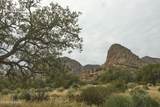 3795 Owls Butte Trail - Photo 38