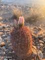 11640&50 Lava Peak Road - Photo 21