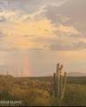 11640&50 Lava Peak Road - Photo 29