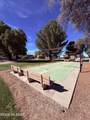 187 Paseo Tierra - Photo 17