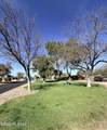 187 Paseo Tierra - Photo 18