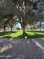 187 Paseo Tierra - Photo 19