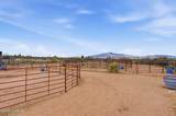 3023 Clark Road - Photo 36
