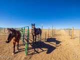 26 Pronghorn Lane - Photo 35
