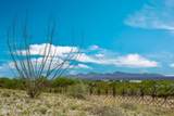 19057 Skylar Way - Photo 6
