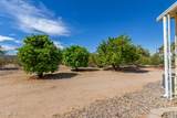 6505 Pelto Path - Photo 46