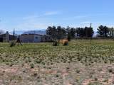 334 Cochise Way - Photo 47