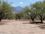 28580 Renner Ranch Road - Photo 4