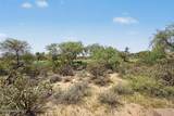 5114 Desert Chicory Place - Photo 47