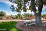 403 Paseo Tierra - Photo 13