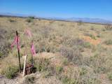 Lot 46 Cochise Trail - Photo 3
