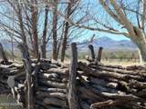 TBD Bridge Road - Photo 14