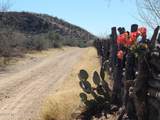 TBD Bridge Road - Photo 15