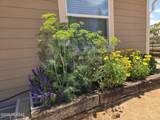 825 Diana Drive - Photo 22